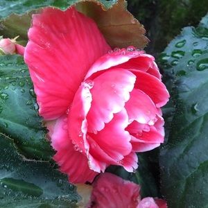 Meet your Posher, Abbi